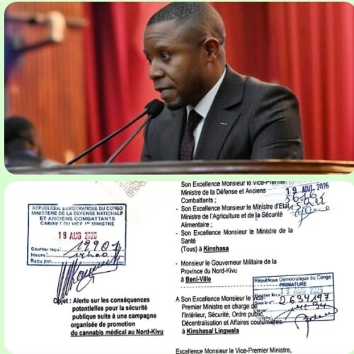 Nord-Kivu : auprès du VPM de l’Intérieur, le député national Carly Nzanzu Kasivita exige la suspension de la campagne de promotion du cannabis médical