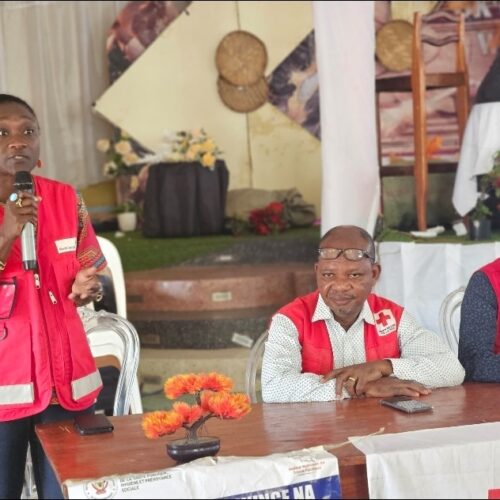 Francophonie : Kinshasa mobilise ses partenaires pour soutenir Juliana Lumumba Amato